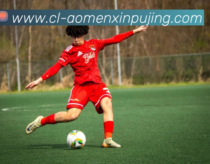 新葡京娱乐发展历程